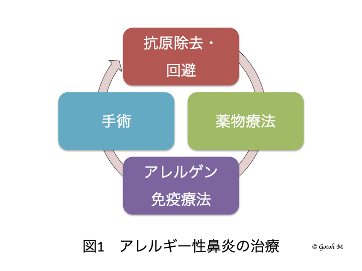 花粉症ケアの要点とcaiへの期待 Cai認定機構